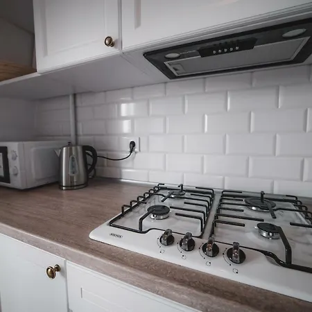 Lägenhet Kostjukowski Lychakivska 70a Lviv